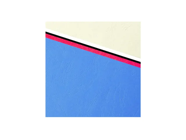 PK100 inbindkaft FOR EVER 270g A4 do-bl.