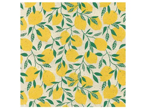Rouleau pour appareil Little lemon 50cmx200m