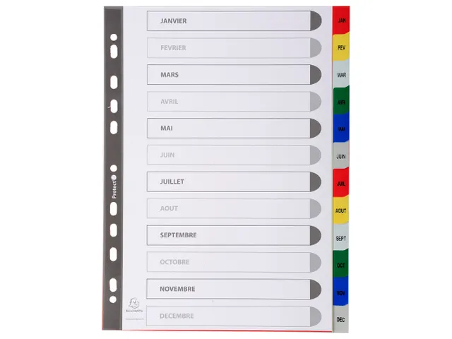 Bedrukte Tabbladen A4 12-delig Jan-dec 11-gaats Frans Assorti