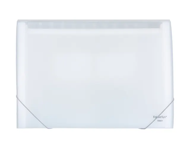 Organiser Transparent334X230MM