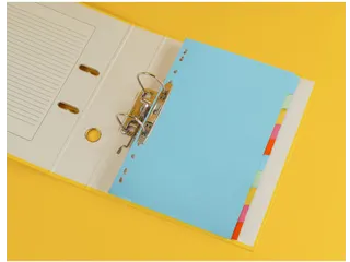 Tabbladen A4 Karton 11-gaats 10 Tabs Geassorteerde Kleuren - 4