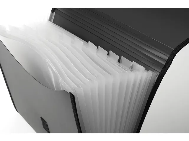 Documentenmap Foldersys A4 PP 12 vaks zwart