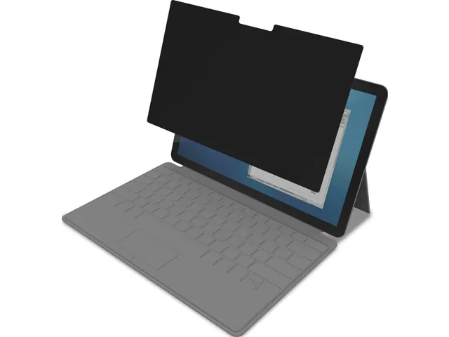 Privacy Filterbeeldschermen 138 Inch Touch