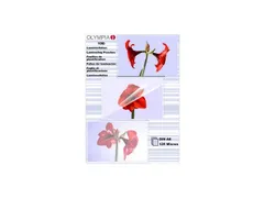 9178 Olympia Lamineerhoezen A6 125 micron 100 vel