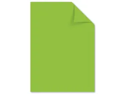 papier Kangaro A4 120 gram pak a 100 vel groen