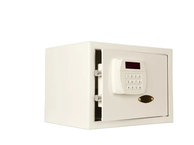 Saga Hotelsafe D 25mos