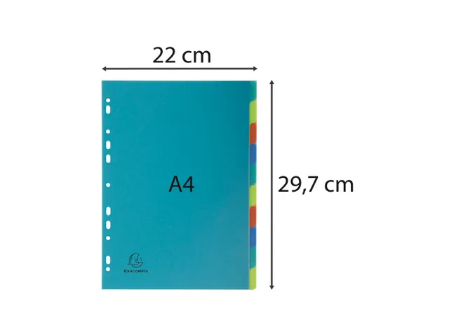 Intercalaire A4 PP Forever 10 onglets assorti