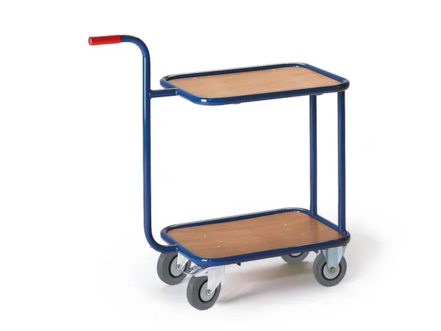 rolplateau met duwstang,draagverm. 200kg,laadvl. LxB 600x500mm