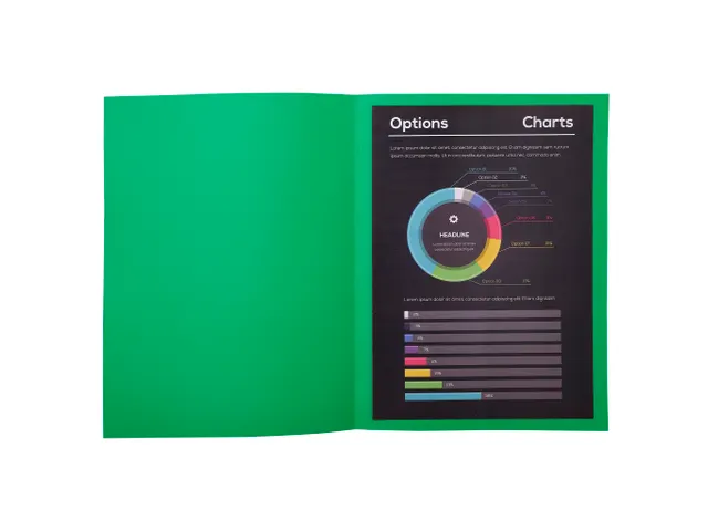 10 dossiermappen ROCK''S 220 24x32cm Dennengroen