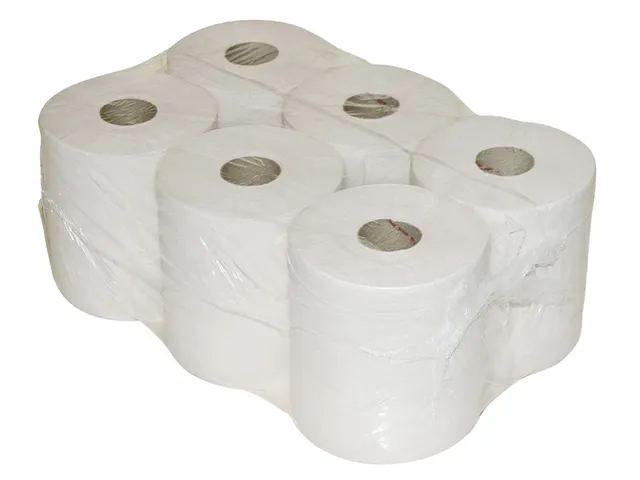 Toiletpapier Euro Products 240018 Mini jumbo 2-laags 180m 12rol
