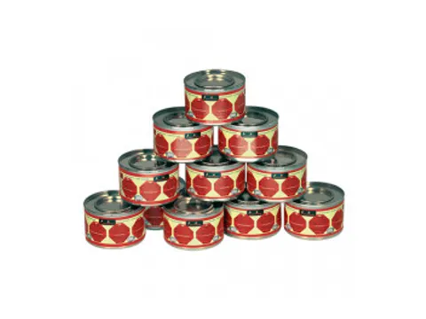 CaterFlame ethanol doos 24 blikjes