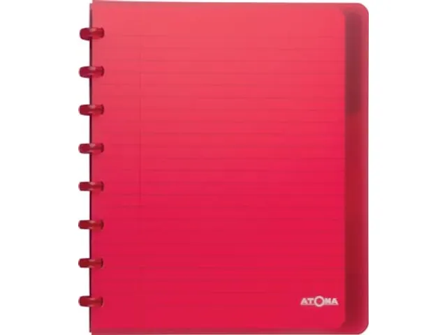 Trendy cahier, ft A5+, 120 pages, ligné, met 6 tabbladen, in couleurs