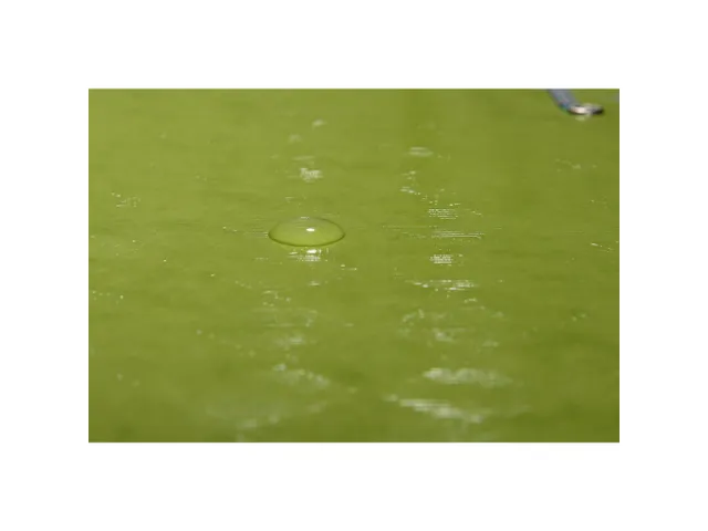 Sorteermap 1928 Harm onika 12vak anijs