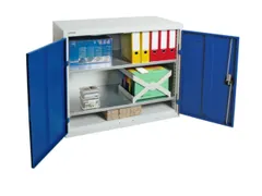 Kast Met Openslaande Deuren 900x1000x500mm 2legborden Staal