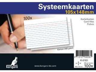 Systeemkaarten A6 105x148mm 100 stuks - 1