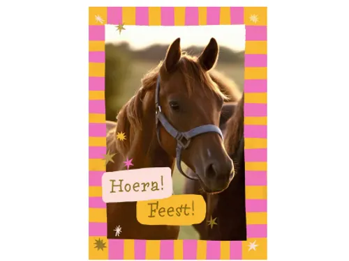 Wenskaart Hallmark uitnodiging paarden pak à 6 stuks