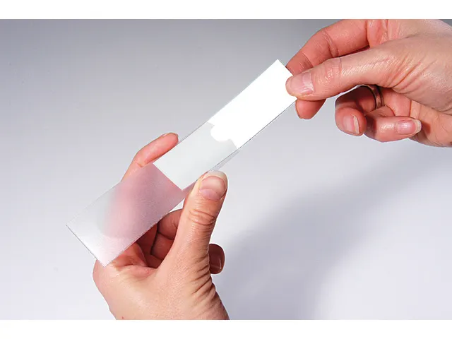 Etikettenhouder Kangaro zelfklevend 25x75 mm pak à 12 stuks