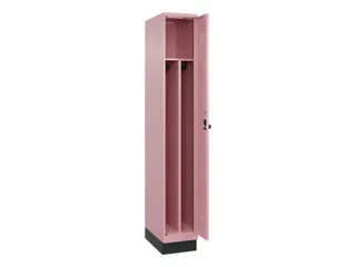 locker voor scheiding van kleding,HxBxD 1950x300x500mm,1vak - 1