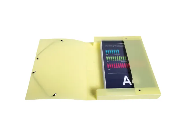Boite de classement Exabox Dos 40mm Polypropylène 7/10e Chromaline pa