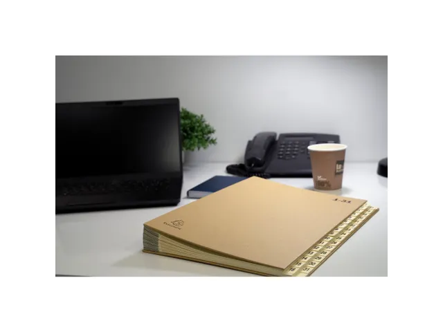 Sorteermap Ordonator 31vak 1- 31 bruin