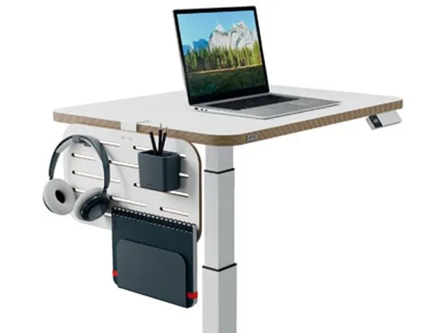 Ergo bureau ophangbord, klein, ft 42 x 25 cm