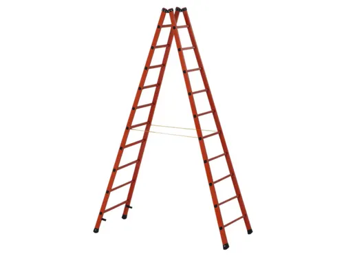 Ladder Met Sporten Bomen/sporten Glasvezel Boom L 3 00M 2X10Sporten