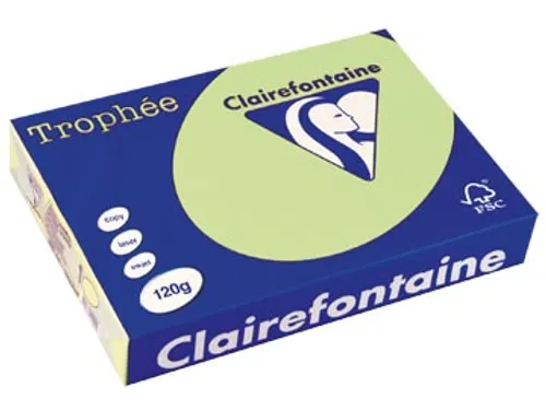 Trophée Pastel gekleurd papier A4 120 gram 250vel Groen