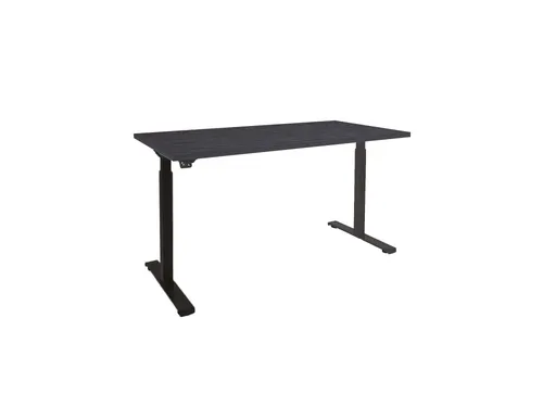 Elektrisch Verstelbaar Bureau 2 Motoren 160x80cm Frame Blad Zwart