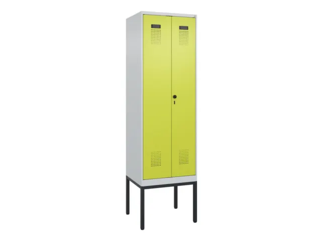 locker voor scheiding van kleding,HxBxD 2120x600x500mm,2vak