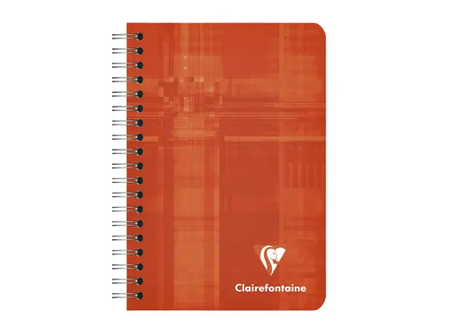 Notitieboek Clairefontaine A7+ 95x140 ruit 5x5 100blz 90gr assorti