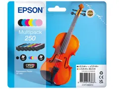 Inktcartridge Epson 250 T16N84 zwart + 5 kleuren