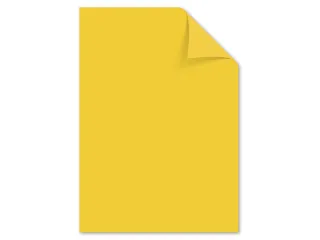 Papier Kangaro A4 120grs goudgeel pak 100 vel - 1
