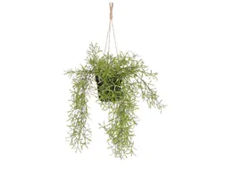 Kunstplant Mica Rhipsalis hangend in pot groen 40x20cm