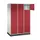 grootvolume-lockersysteem,RAL 7035/RAL 3003,HxBxD 1950x1220x600mm