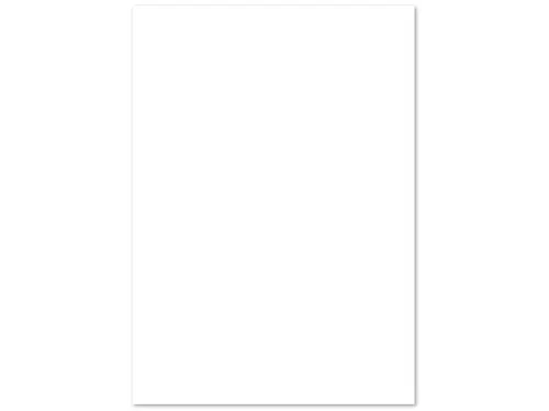 Kopieerpapier PaperWise A3 wit 80 gram doos a 5 pakken