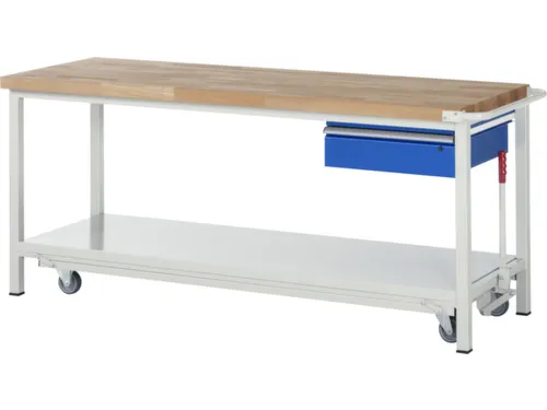 Werkbank 880x2000x700mm Beukenhouten Werkblad 1lade