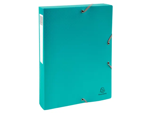 Klasseerdoos rug 40m m PP Forever Young