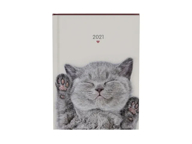 Agenda 2022 my favourite friends cats