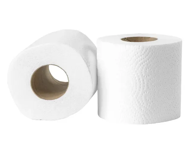 Toiletpapier Cellulose 2-laags 200 Vel FSC