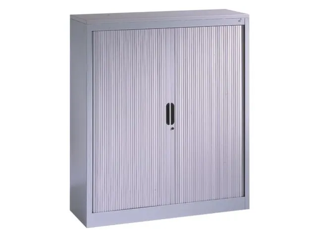 Roldeurkast Hxbxd 1230X1000X420Mm 2Legborden Ral7035