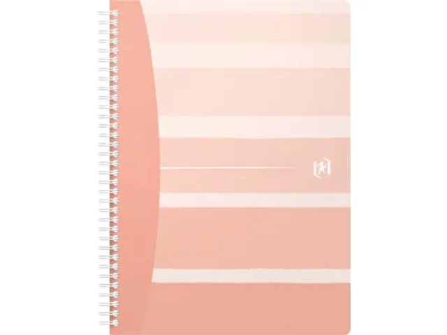 Iconics spiraalschrift B5 assorti