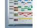 Professional Jaarplanner 50x150 cm 30 personen