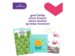 Wenskaart Hallmark Business Box beterschap navulset à 12 stuks - 2