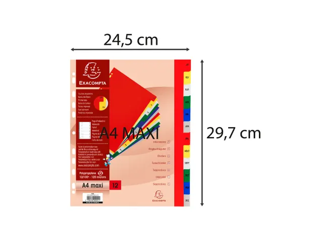 Bedrukte Tabbladen A4+ Jan-dec Assorti Pp 0.12mm 12-delig 11-gaats(FR)