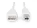 USB 2.0 Aansluitkabel Type A - B St/St 1,8m Beige