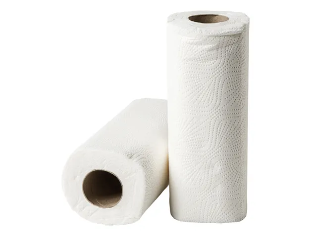 Keukenrol cellulose 2-laags 50 vel 32 rol