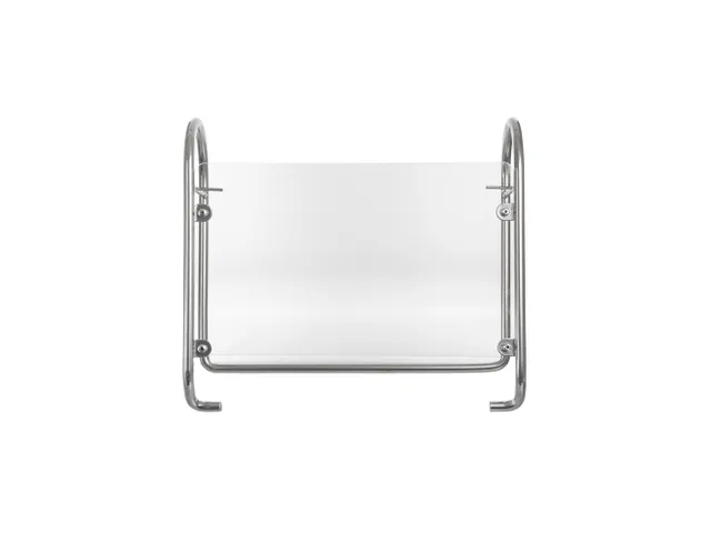 Monitorstandaard R-Go Steel Essential Zilver voor maximaal 27 inch