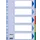 Esselte Tabbladen 5 Tabs