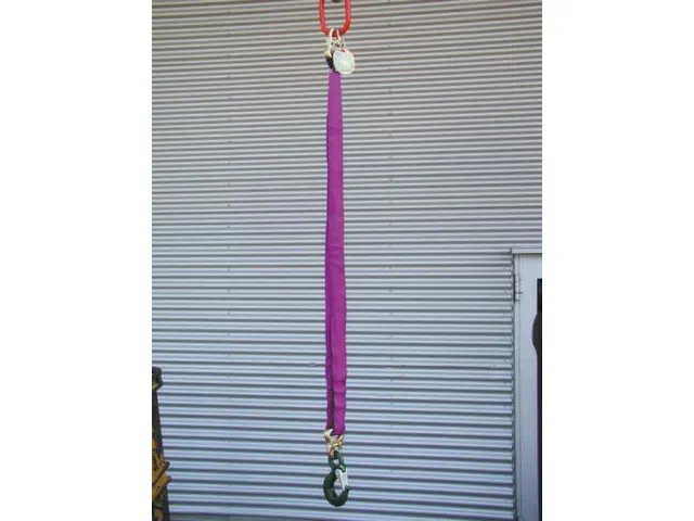 Hijsstroppen 1-Sprong Draagvermogen Direct 1T Nuttige L 1M Paars