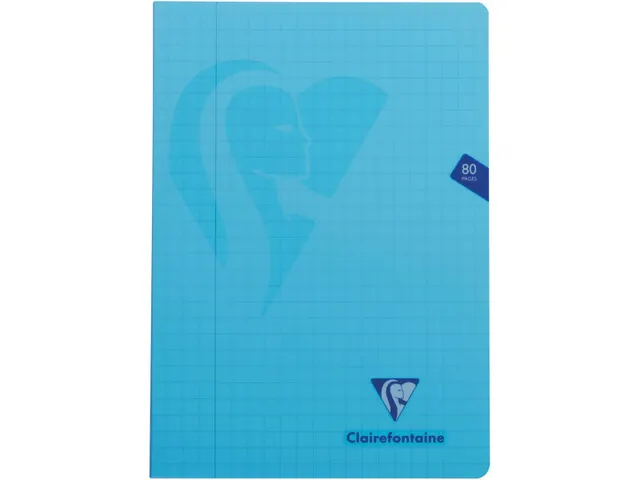 Schrift Pp A4 80Blz ruit 10mm Assorti